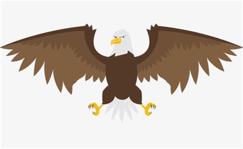 Vector Cartoon Eagle Falcon | Eagle vector, Cartoon, Drawings