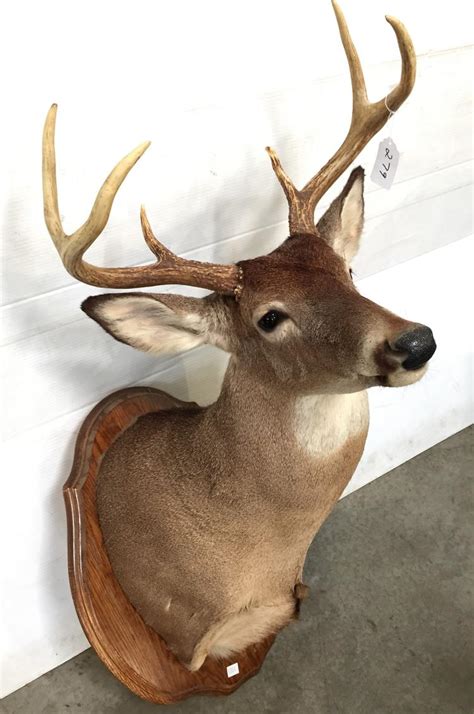 Sold Price Six Point Whitetail Buck September 6 0117 1200 Pm Edt