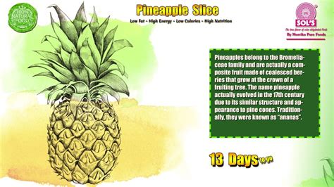 An Advertisement For Pineapple Juice With A Drawing Of A Pineapple