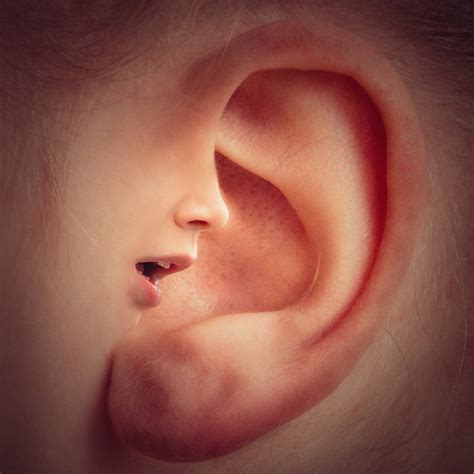 Decálogo Para Un Buen Cuidado De Los Oídos Reguera Audífonos