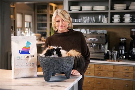Prettylitter A Useful Instrument In Monitoring Your Cats Well Being