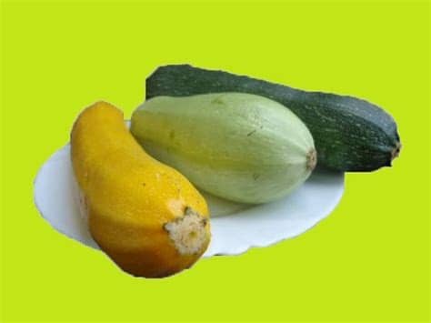 Para acostumbrar a los niños tenéis múltiples posibilidades, como el risotto de calabacín, freírlos rebozados en harina en forma de patata frita, o preparar unos suaves calabacines rellenos como éstos… Cómo Hacer Espaguetis De Calabacin / Zucchini Pasta Al ...