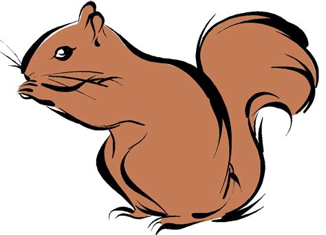 Cartoon Squirrels Clipart Best