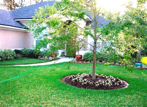 Choosing the right tree for a front garden can be tricky but there are advantages and countless pleasures that can be had if you choose your tree carefully. Nice Chic Front Yard Garden With Dwarf Pine Tree Ideas Landscaping Ideas Around Pine Trees ...