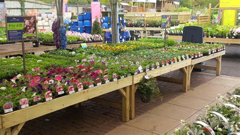 Hilliers Garden Centre Timber Displays