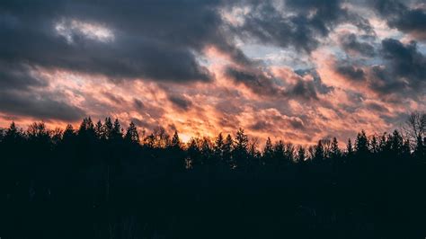 Clouds Trees Sky Sunset 4k Trees Sky Clouds