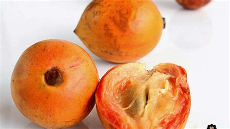 Amazing Health Benefits Of Cherry Africas Star Apple
