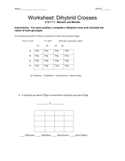 A dihybrid cross describes a mating experiment between two organisms that are identically hybrid for two traits. Punnett square worksheet