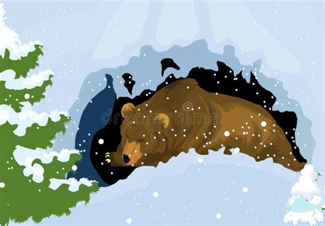 Bear Sleeping Cave Winter Stock Illustrations 21 Bear Sleeping Cave