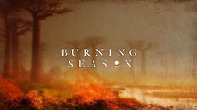 The Burning Season - Tribeca Film Institute