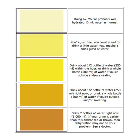 Free 8 Sample Urine Color Chart Templates In Pdf Ms Word