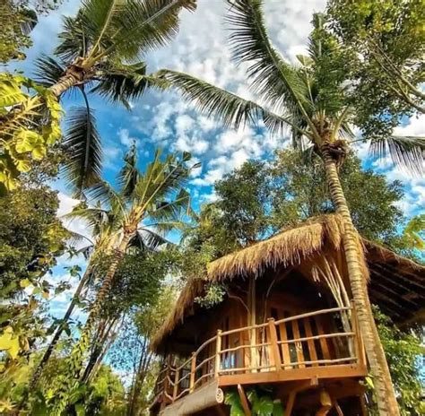 13 Best Bali Treehouse Rentals For 2022 Top Treehouses