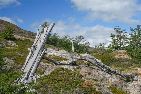 See natur chile wasser reflexion berg wildnis himmel wolke wasserressourcen tag bank landschaften montieren gebirgszug naturschutzgebiet. Ein Nationalpark Torres Del Paine - Chile - Bucht ...