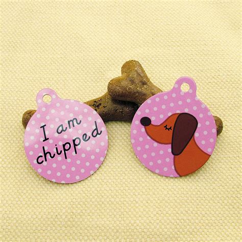 Dachshund I Am Chipped Pet Id Tag By Hoobynoo