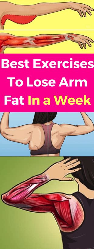 Best Exercises To Lose Arm Fat In A Week Secret Of Longevity