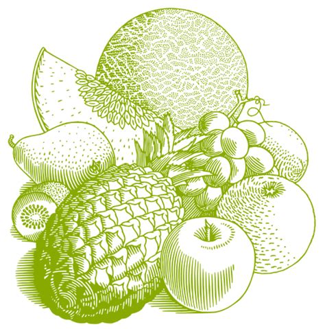 Berbagai buah-buahan | Domain publik vektor