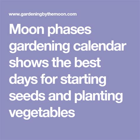 Moon Phases Gardening Calendar Shows The Best Days For Starting Seeds