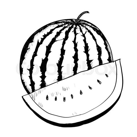 Download Hand drawing of Watermelon on white ... | Stock Vector ...