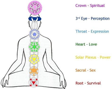 Seven Chakras Reiki Training Thai Massage And Kundalini Yoga By Aiyana Fraley