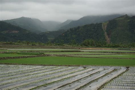 In Taiwan Even Farming Needs To Be High Tech — The Taiwan Gazette