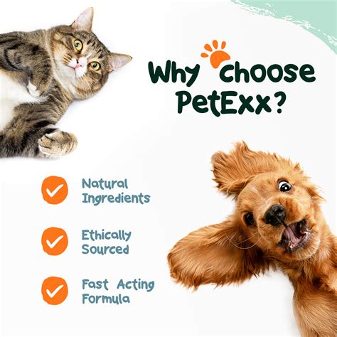 Stomach Settler | PetExx