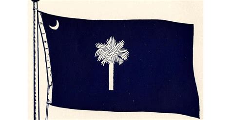 Committee Works To Standardize The Iconic South Carolina State Flag