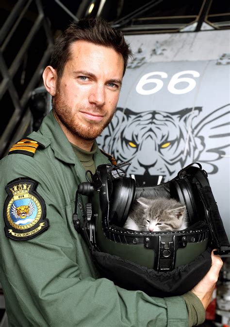 Kitten Survives 300 Mile Trip In Royal Navy Pilots Car Bumper Now Likes To Sleep In His Flying