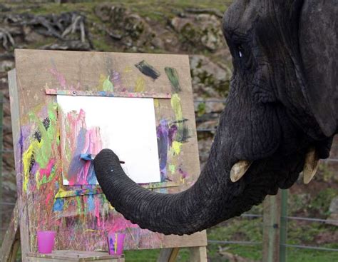 The Best 5 Minutes Youll Spend Today Animals That Can Paint Page 11