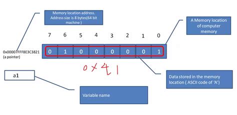 How To Print The Memory Location Address Of A Variables In C