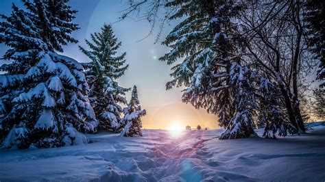 Download Wallpaper 3840x2160 Winter Snow Sunlight Path