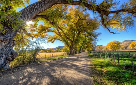 Autumn Landscape Country Road Trees Wallpaper Hd