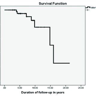 Kaplan Meier Survival Analysis Showing Patient Survival Download Scientific Diagram