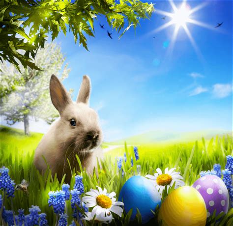 Bunny Photography Backdrops Blue Sky Grassland Easter Eggs Background Sale