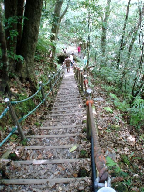 Okinawa Travel Guide Guide To Hiking Hiji Falls In Okinawa