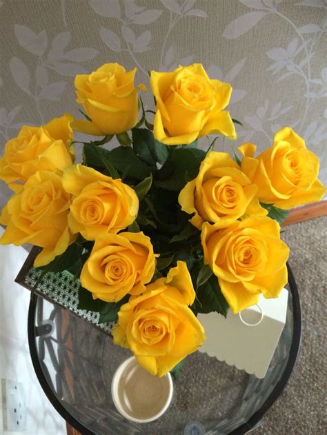Check spelling or type a new query. Yellow Roses | Yellow roses, Good morning flowers, Rose
