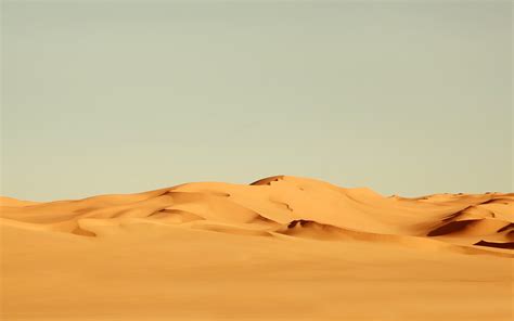 Desert Cities In Rajasthan Sandy Portraits Of Rajasthan Desert
