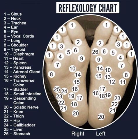 Reflexology Chart Reflexology Massage Pressure Points Reflexology Points