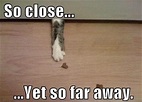 So close, yet so far away | Picture Quotes