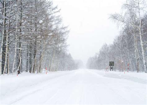 Getting Around Hokkaido In Winter Transportation Tips To Know Before