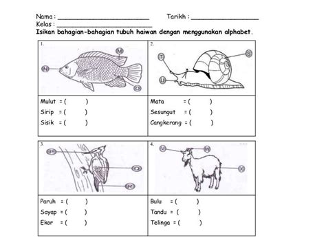 Aktiviti psv tahun enam mp3 & mp4. Soalan Peperiksaan Sains Tadika 6 Tahun