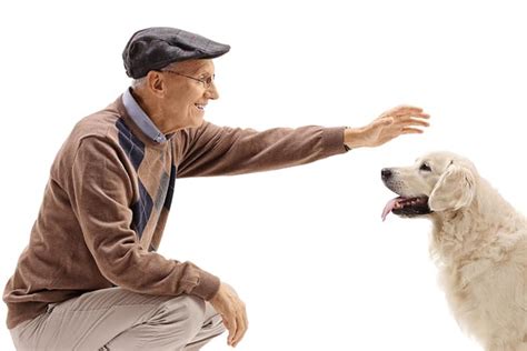 Study Finds That Petting Dogs May Give Us The Same Brain Benefits As
