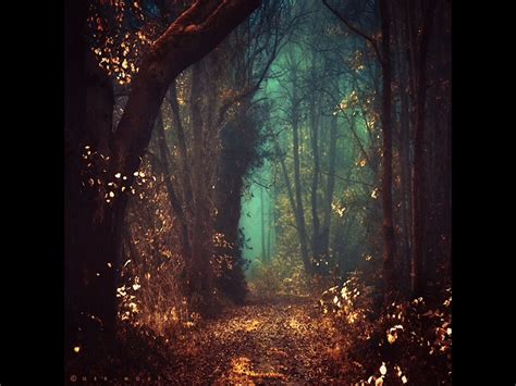 Pin By Teri Todd On Art Mystical Forest Fairy Tale Forest Forest Fairy