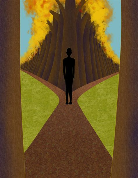 Two Roads Diverged In A Yellow Wood By Abbytlarue On Deviantart