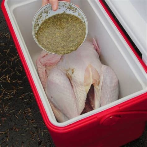 Cooler Turkey Brine | Bush Cooking