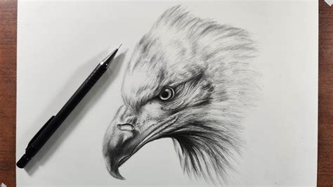 Top 59 Imagen Dibujos De águilas A Lapiz Ecovermx