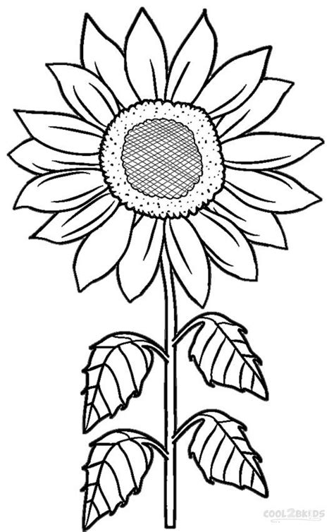 Why are sunflowers a good flower to draw? Sunflower Flower Coloring Pages Printable Sketch Coloring ...