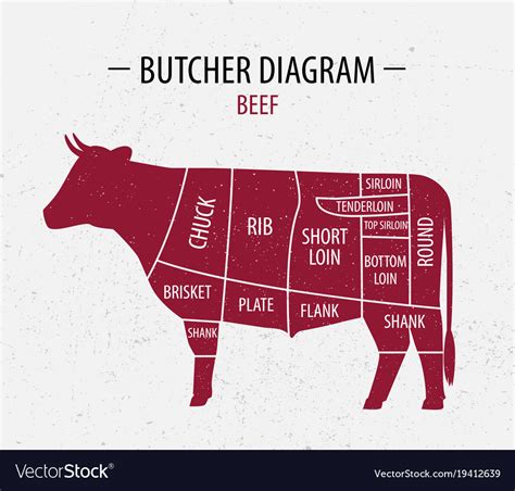 Cut Of Beef Poster Butcher Diagram Royalty Free Vector Image Hot Sex Picture