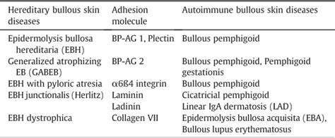 Table 1 From Autoimmune Blistering Diseases Of The Skin Semantic Scholar