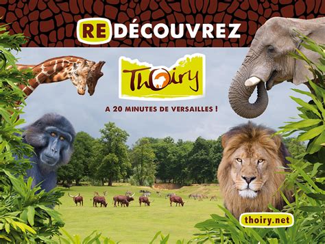 Une Navette Pour Découvrir Le Zoo De Thoiry Yvelines Infos