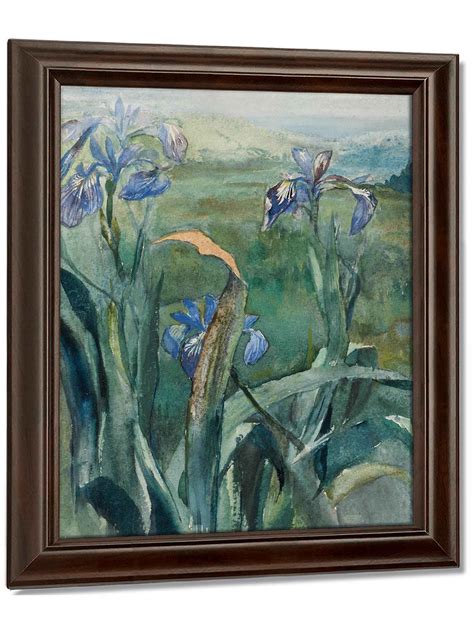 John La Farge Blue Iris Study By John La Farge
